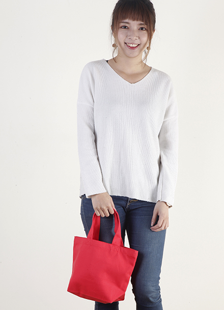 紅色帆布小托特